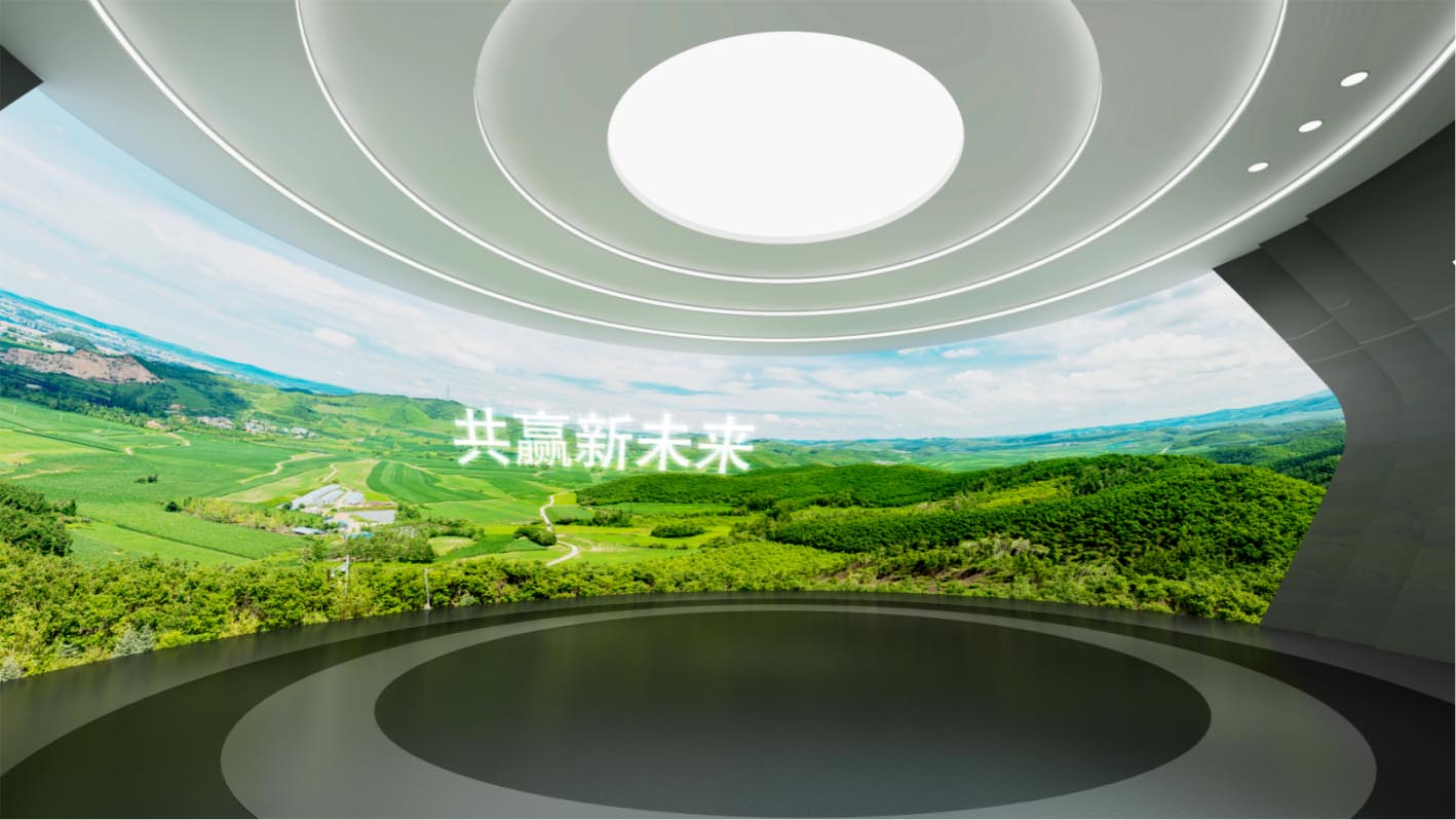 溜溜梅集团